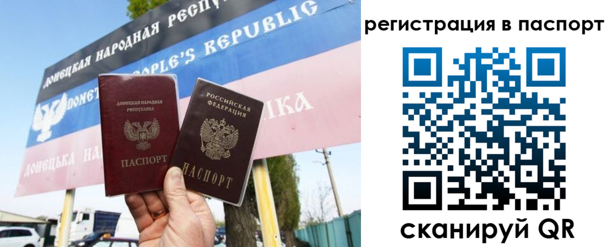 прописка поиск в Луге